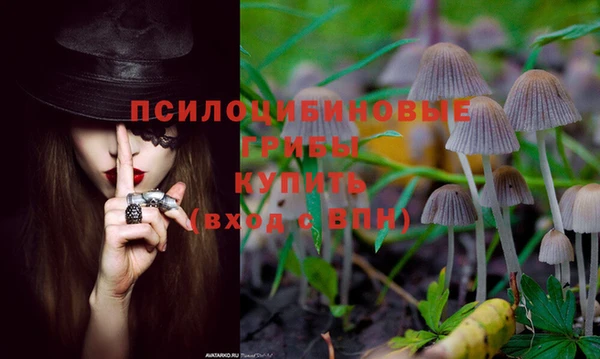 бошки Абдулино
