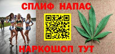 прущие грибы Славгород