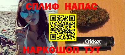 прущие грибы Славгород