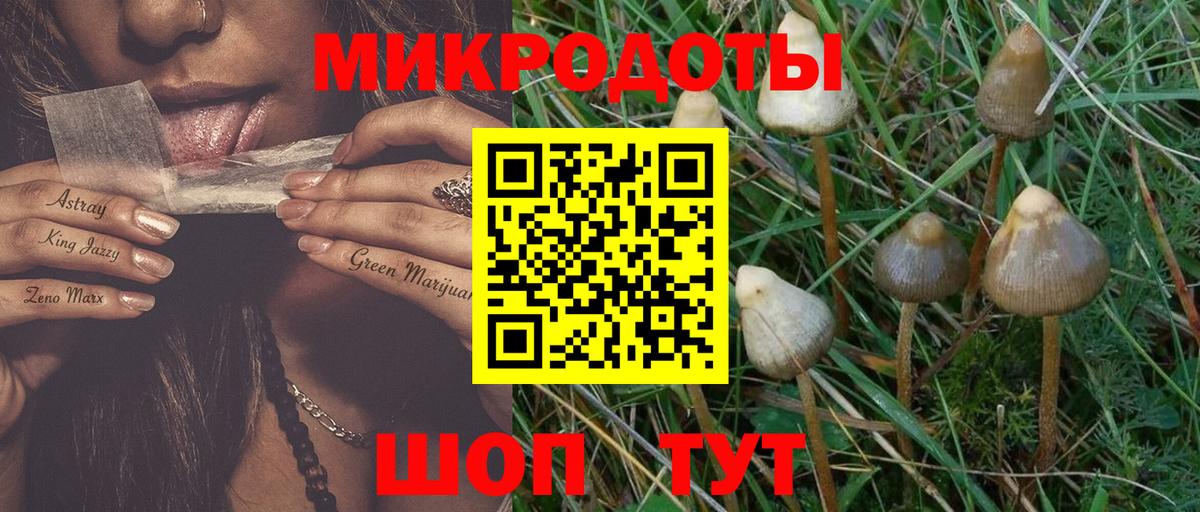 Галлюциногенные грибы прущие грибы  Галлюциногенные грибы Psilocybine cubensis  Сафоново  Вход с VPN 
